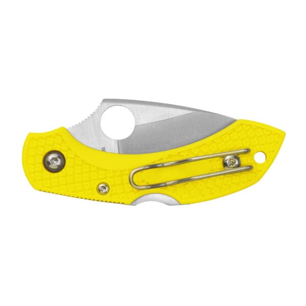 Spyderco C28PYL2 Dragonfly 2 Salt 2.25" Folding Plain Stonewashed - Image 2